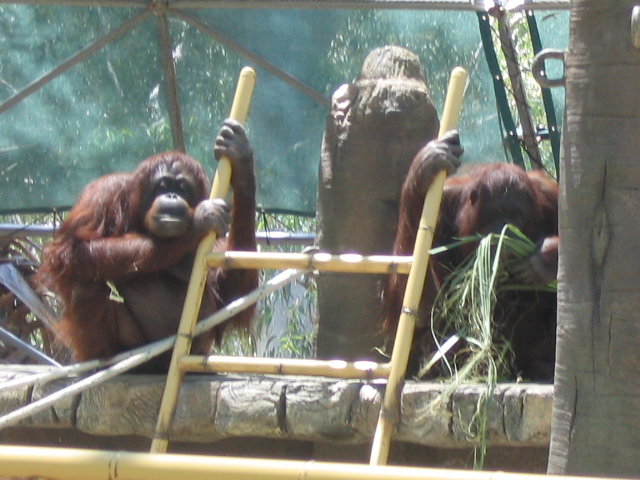 618x457 pixels (186K)